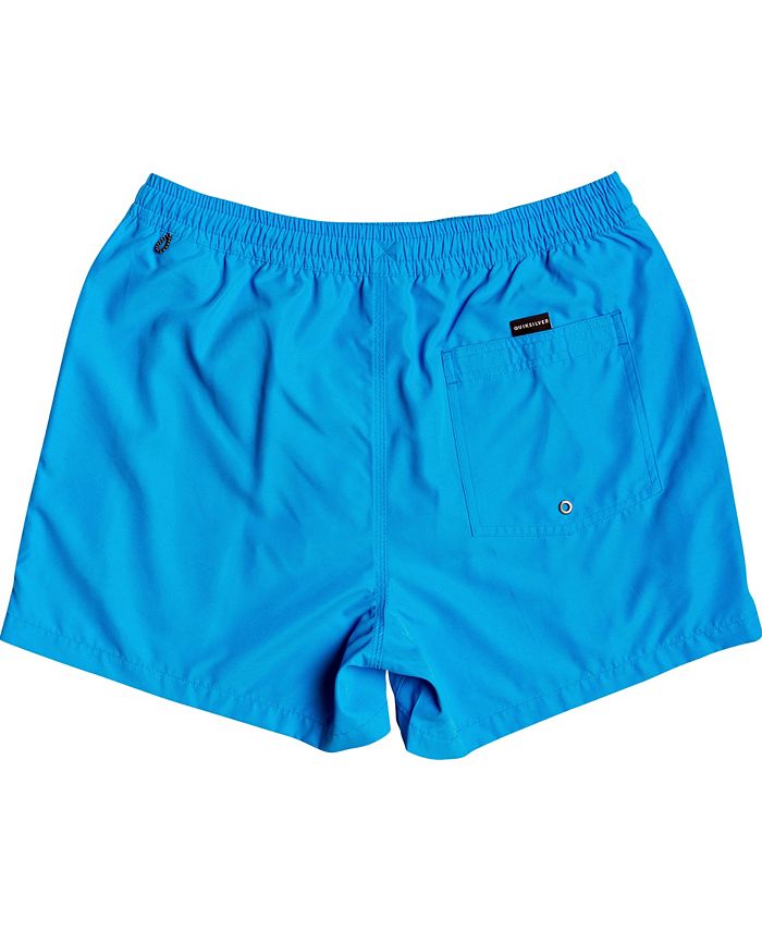 Quiksilver Big Boys Everyday Volley Youth 15