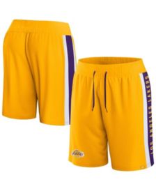 Nike Los Angeles Lakers Royal Hardwood Classics Swingman Performance Shorts Size: 3XL