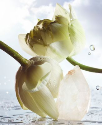 Men's 2-Pc. Man Rain Essence Eau de Parfum Gift Set