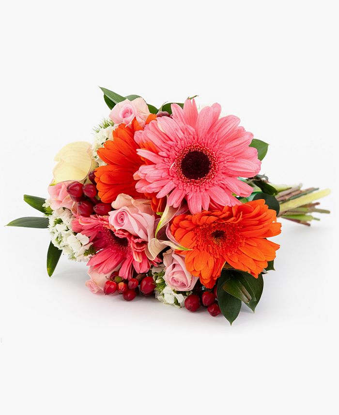 BloomsyBox Pink Blush Fresh Flower Bouquet Macy's