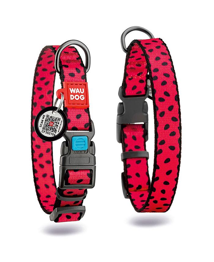 Waudog Nylon dog collar with QR passport, plastic fastex Macy's
