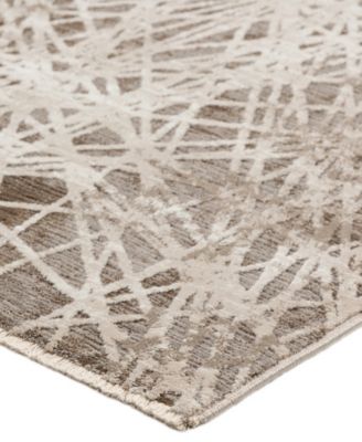 Denizi DZ4 7'10" x 10' Area Rug