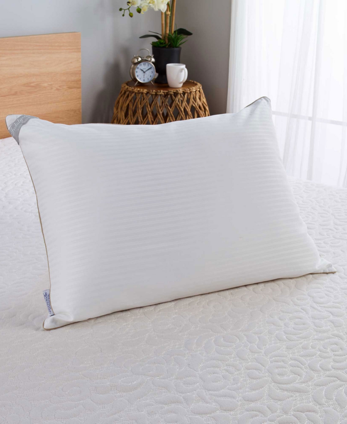 Isotonic Indulgence By  Back/stomach Sleeper Pillow, Standard/queen In White