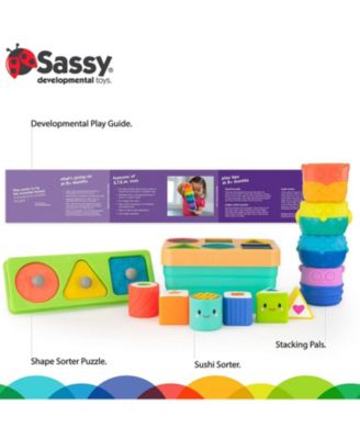 Sassy 16 Piece Stem Baby Box Gift set, 8 Months plus