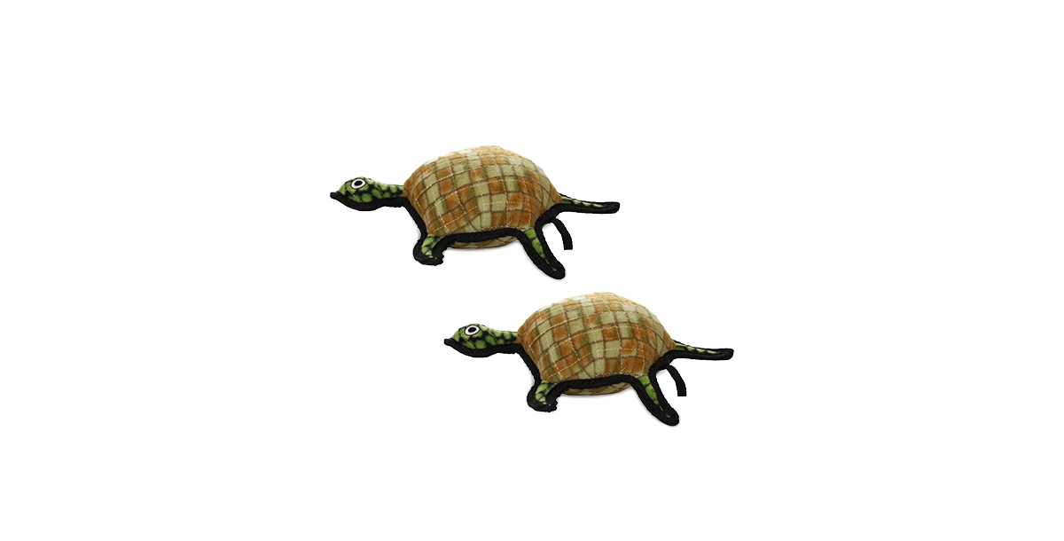 Ocean Creature Turtle, 2-Pack Dog Toys - Green