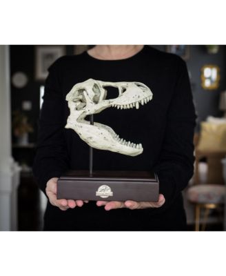 Jurassic World 9x8 Inch Tyrannosaurus Rex Skull Resin Replica