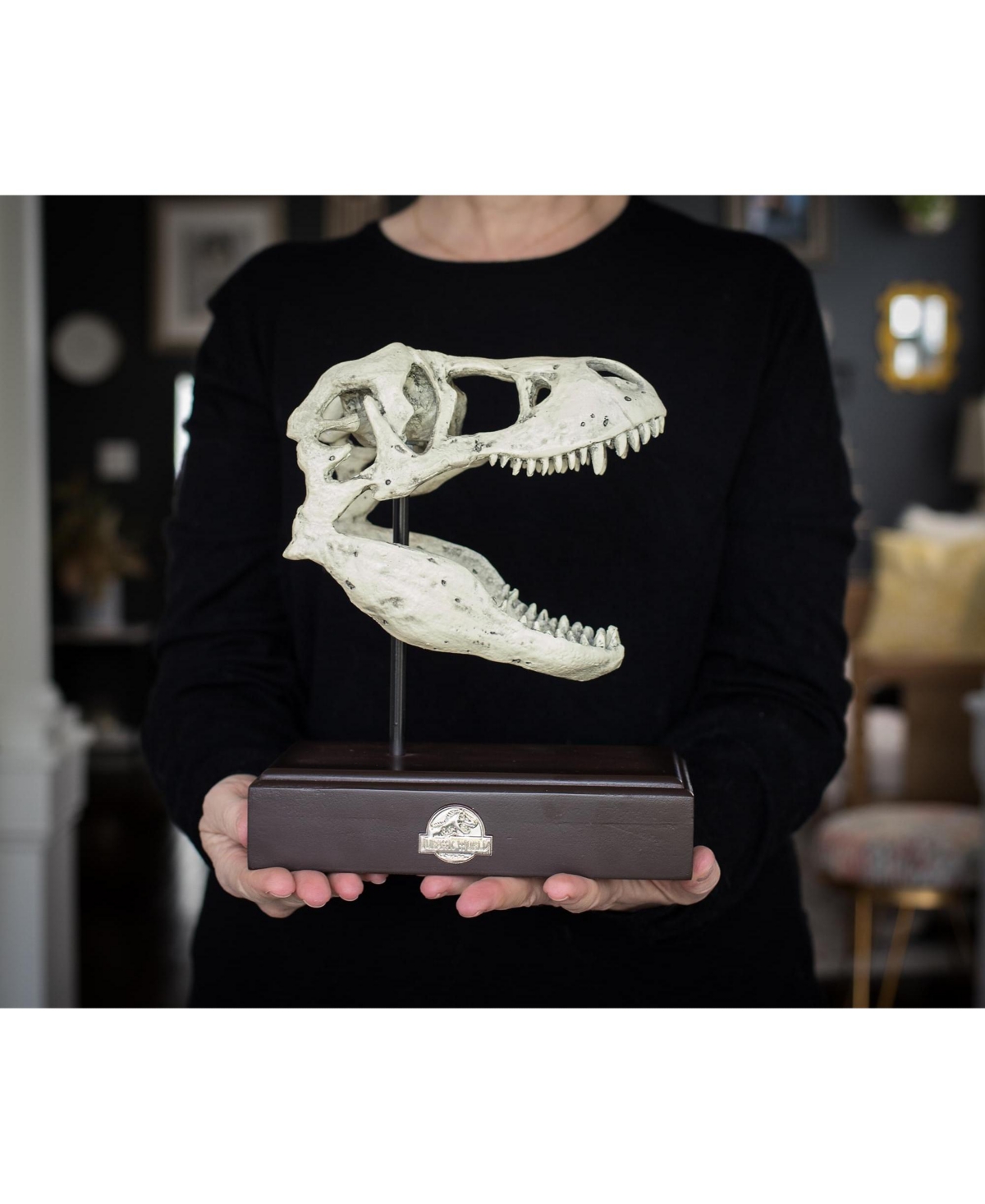 Surreal Entertainment Jurassic World Tyrannosaurus Rex Skull Resin Replica - 9x8-Inch TRex Dinosaur Head Statue