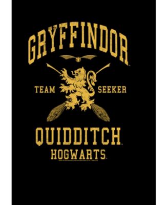 Warner Bros. Boy's Harry Potter Gryffindor Quidditch Gold Team Seeker ...