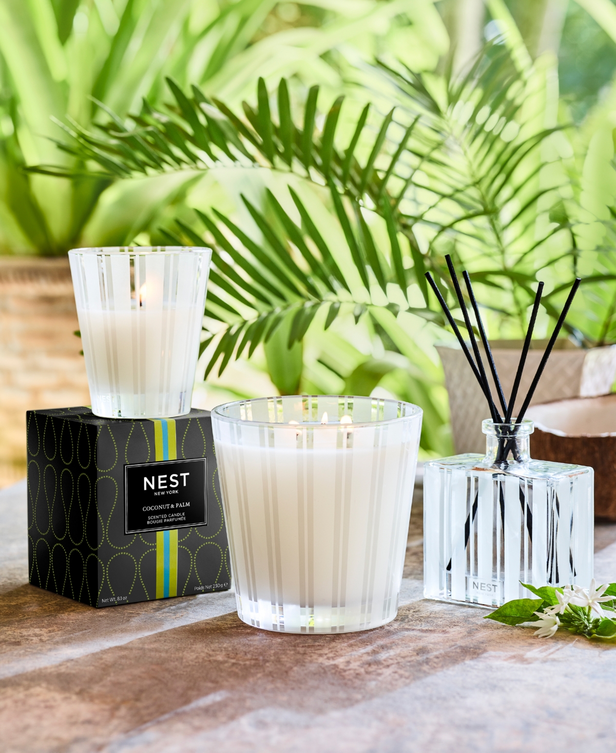 Nest New York Coconut & Palm Classic Candle, 8.1 oz