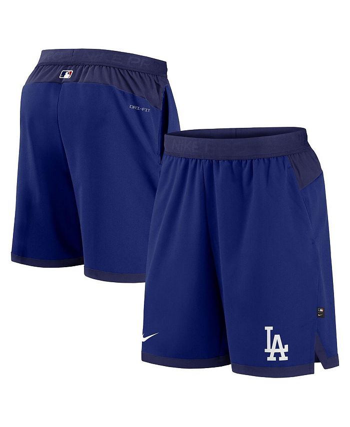 Nike Men's Royal Los Angeles Dodgers Authentic Collection Flex