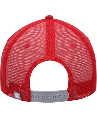 Men's  Gray, Cardinal Iowa State Cyclones Love Fern Trucker Snapback Hat