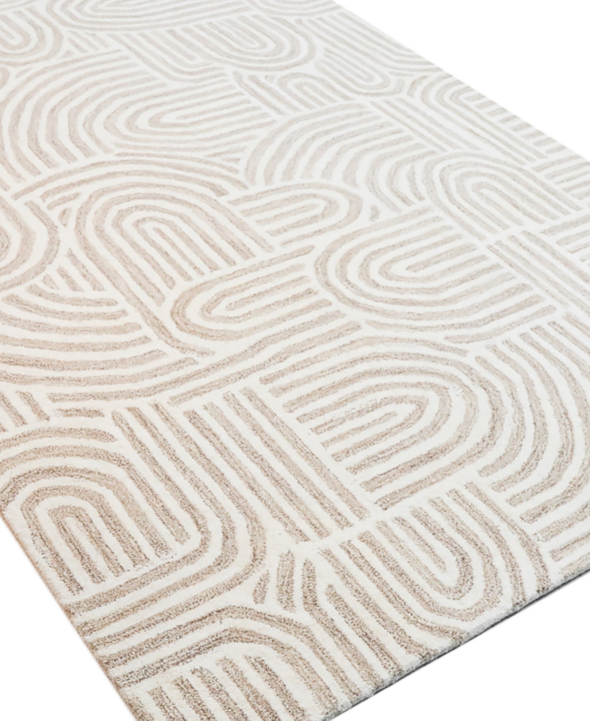 Bb Rugs Alistar ASR283 Area Rug