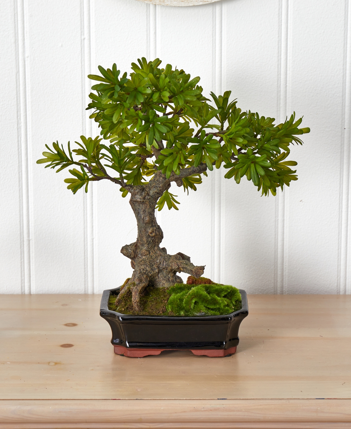 Nearly Natural Podocarpus W/mossed Bonsai Planter In Green