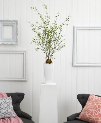 Night Willow in White Planter