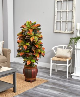 5.5' Croton Artificial Plant in Decorative Planter - Real Touch