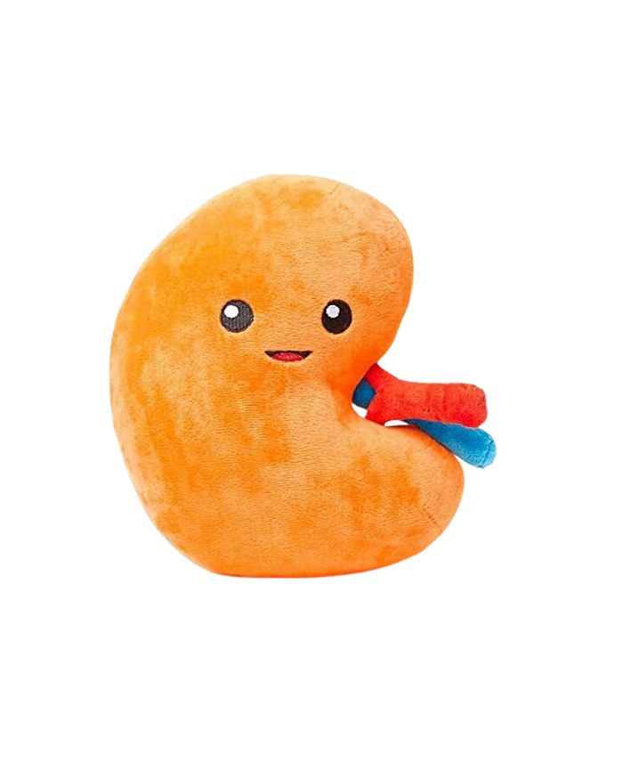 Nerdbugs Kidney Plush Toys Urine for a treat! Macy's