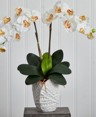 Double Phalaenopsis Orchid Artificial Arrangement in White Ceramic Vase