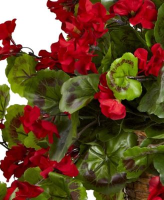Geranium UV-Resistant Indoor/Outdoor Hanging Basket