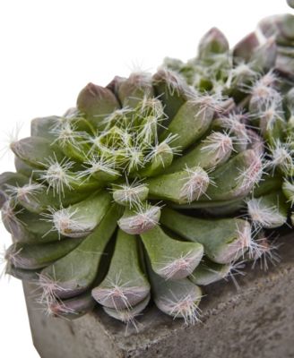 Nearly Natural Succulent Garden w/Textured Concrete Planter