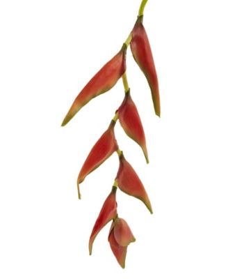 31-In. Hanging Heliconia Artificial Flower, Set of 4