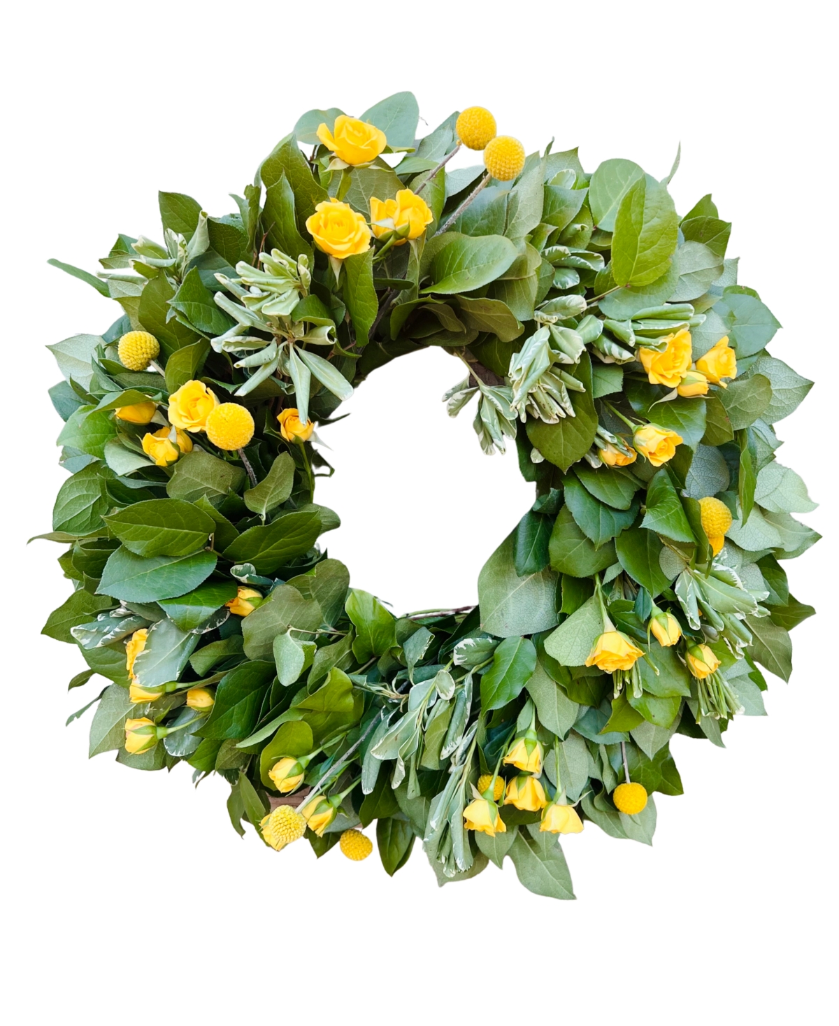 Fresh Real Yellow Rose and Salal Spring Wreath