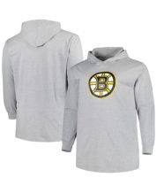 Boston Bruins Champion Reverse Weave Pullover Sweatshirt - Heathered Gray