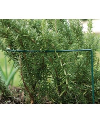 Luster Leaf Plant Prop Support For Gardens and Flower Beds, Green 10 x 30 in.