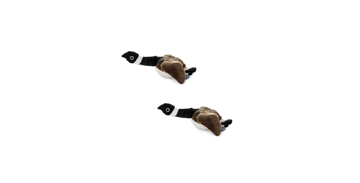Jr Nature Duck, 2-Pack Dog Toys - Brown