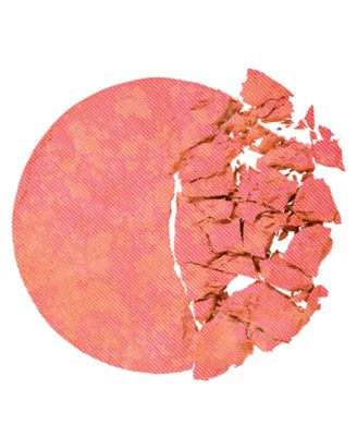 Skin Perfecting Powder Blushing Act