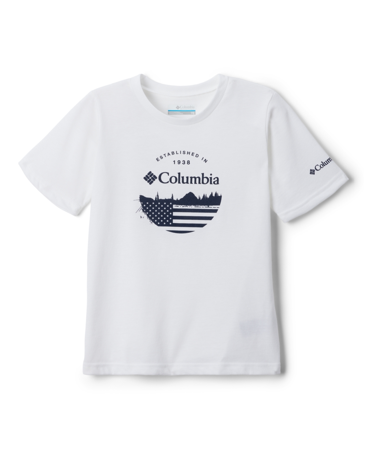 Columbia Kids' Big Boys La Poudre Pass Graphic T-shirt In White/fun With Flags Graphic