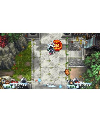 Pocky & Rocky Reshrined Switch