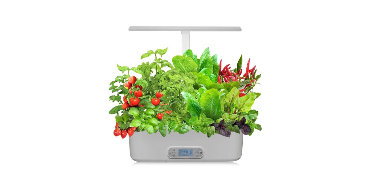 Hydroponics Growing System - Indoor Herb Garden Kit - White