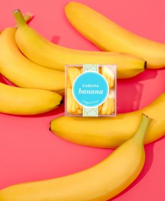 Island Pineapples - Small Cube Kit, 3 Piece