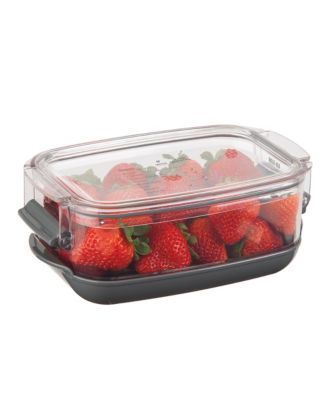Prokeeper Berry Produce Storage Container