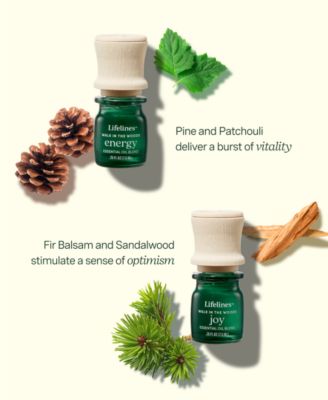 Essential Oil Blends- Walk in The Woods, 4 Pack