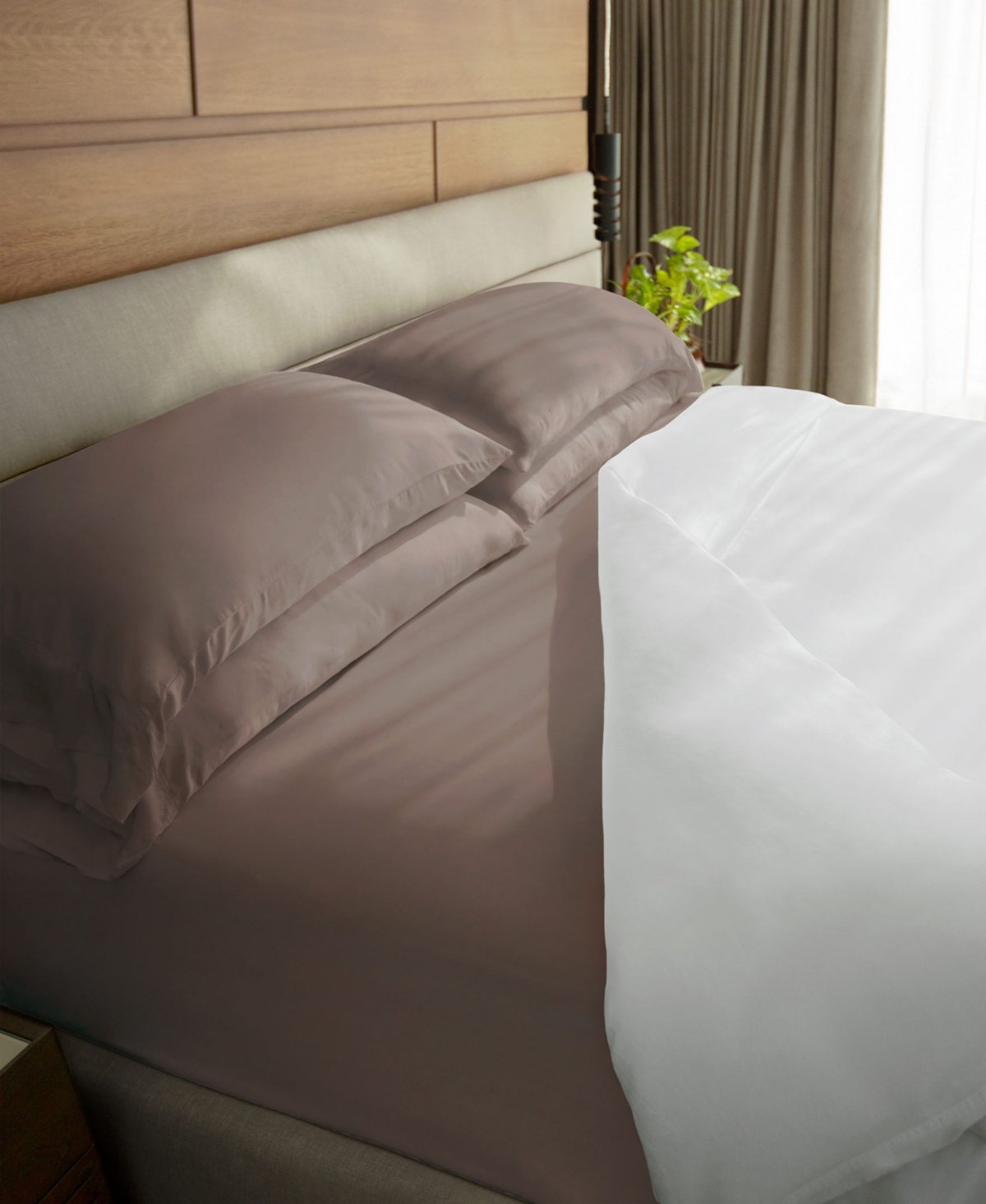 Cariloha Classic 230 Thread Count Viscose From Bamboo 4-pc. Sheet Set, Queen In Beach Linen