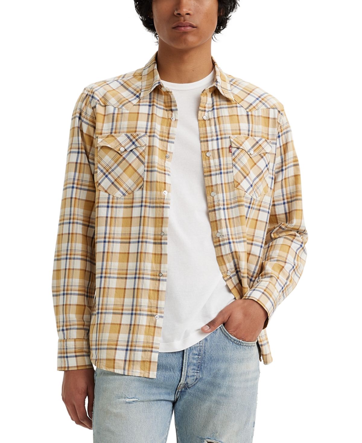 Men's Classic Standard Fit Western Shirt In Peter Plaid Curry