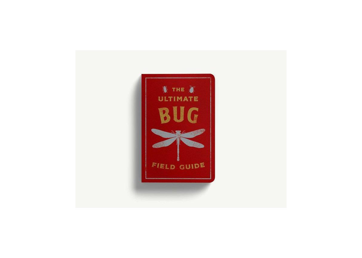 The Ultimate Bug Field Guide- The Entomologist's Handbook Bugs, Observations, Science, Nature, Field Guide by Julius Csotonyi Illustrator