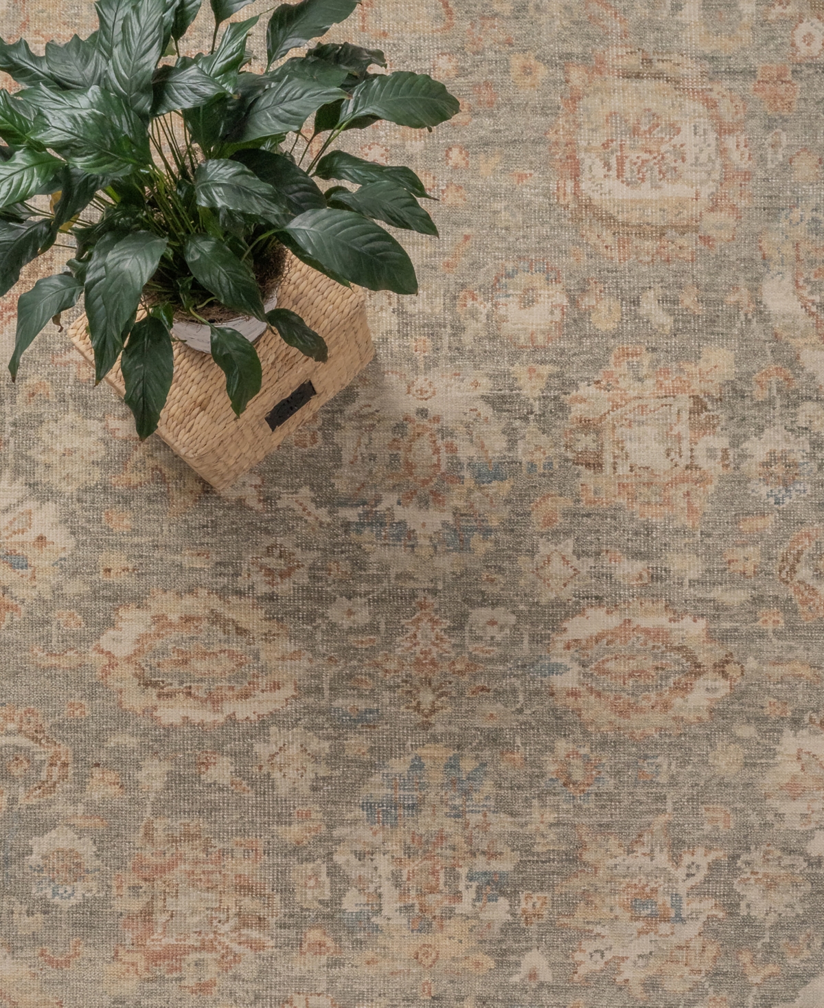 Capel Braymore 1227 Area Rug - Gray