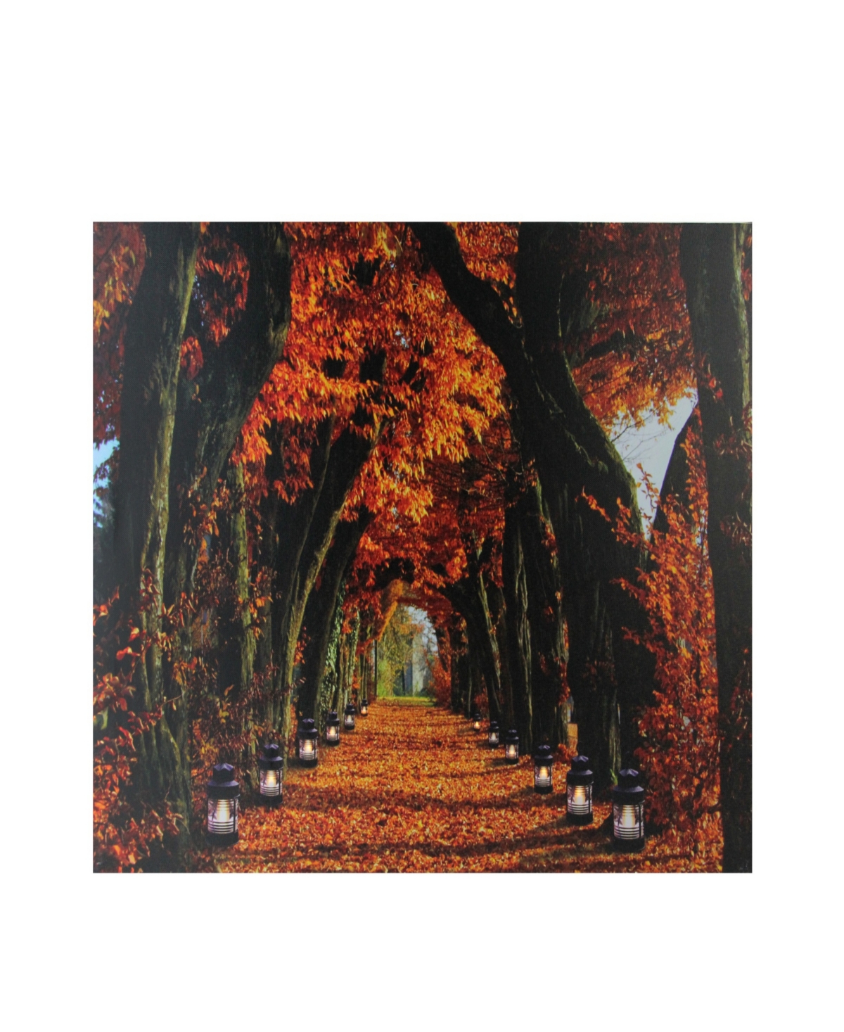 Northlight Led Lighted Fall Tree Archway With Lanterns Canvas Wall Art 23.5" X 15.5" In Orange