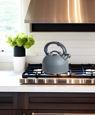 1.9 Litre Whistling Tea Kettle