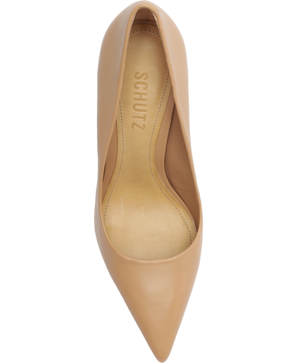 Shop Schutz Women's Lou Pointed Toe Pumps In Black Suede