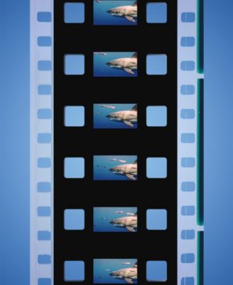 Cinema Science DIY 83 Pieces Retro-Like Film Projector, Created for Macy's 