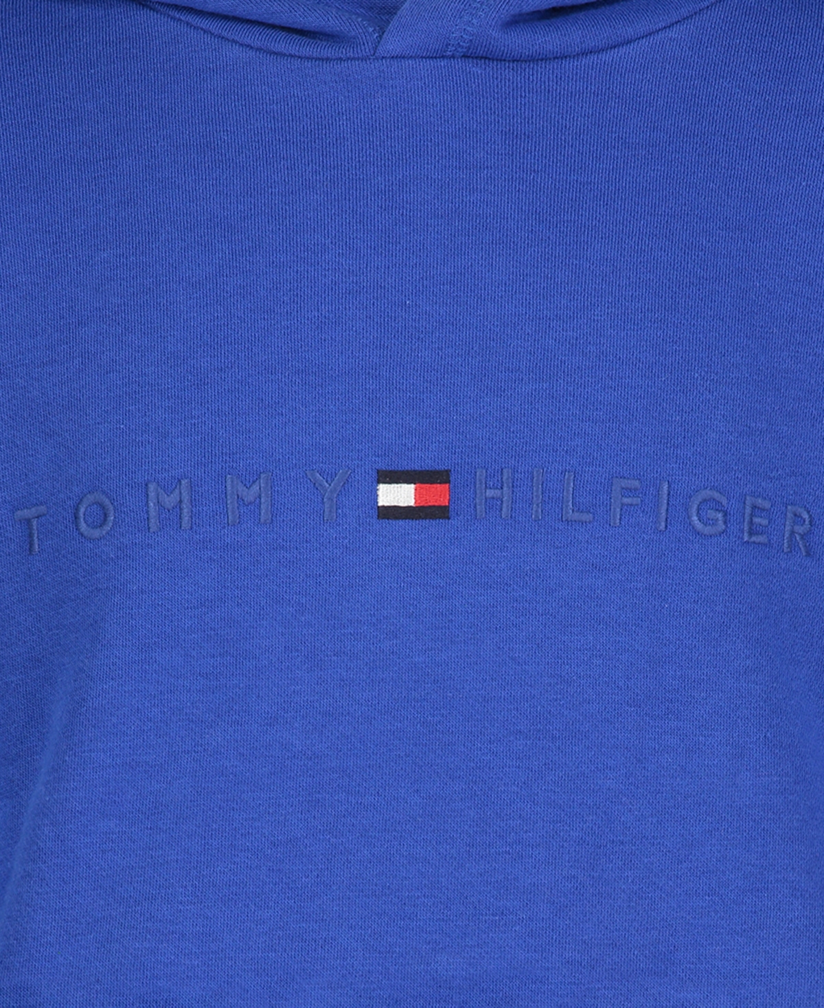 Shop Tommy Hilfiger Toddler Boys Tomas Pullover Hoodie In Surf The Web