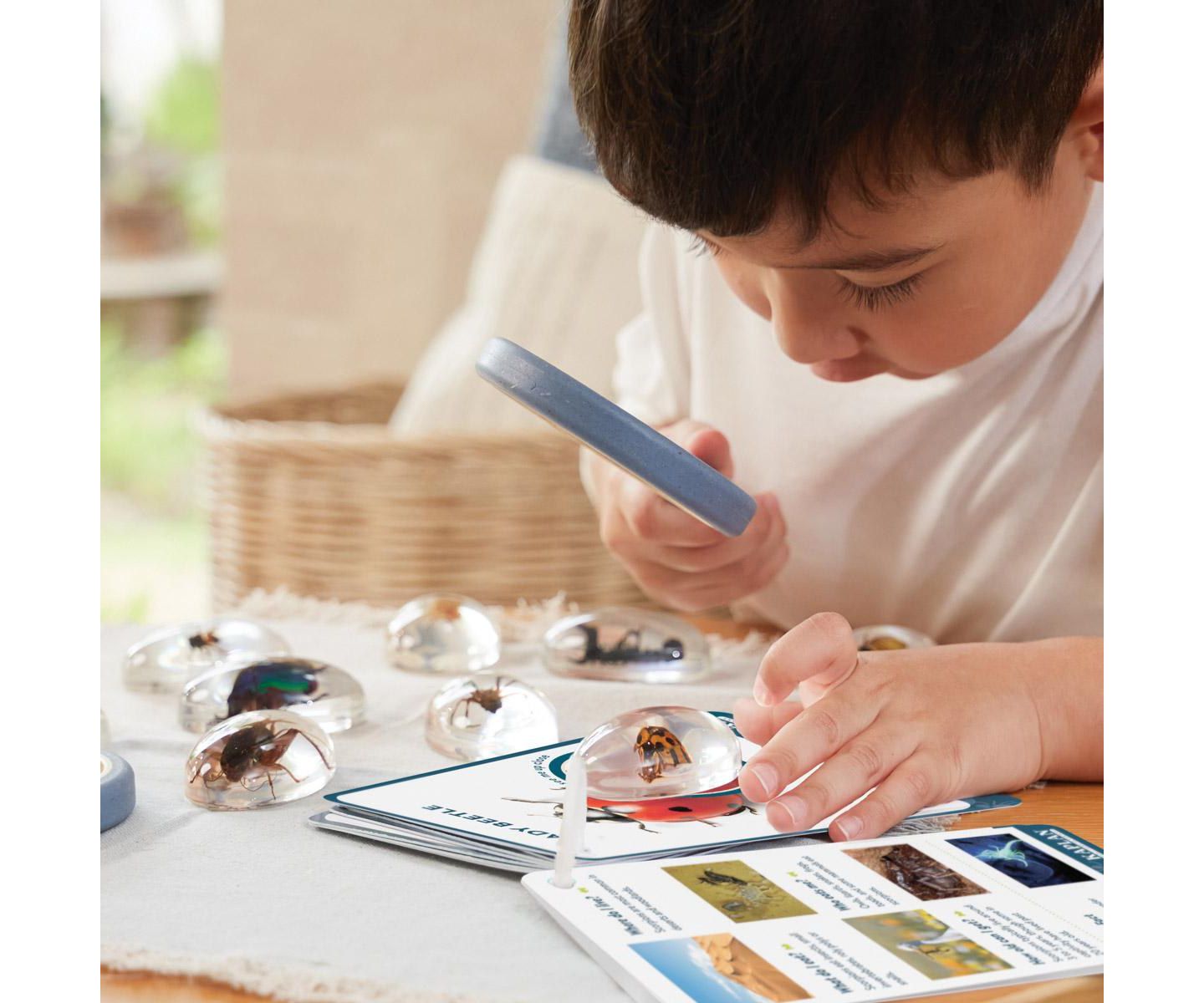 Детские игрушки Kaplan Early Learning Specimen Stones: Bugs, цвет: Разноцветный — фото 2