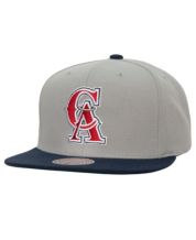 Pro Standard Men's Gray St. Louis Cardinals Washed Neon Snapback