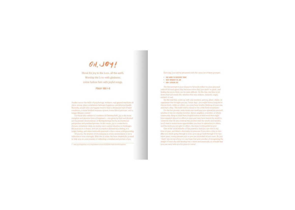 The 3-Minute Journal of Joy- A Three-Year Record of Each Day's Memorable Moments by Ink & Willow