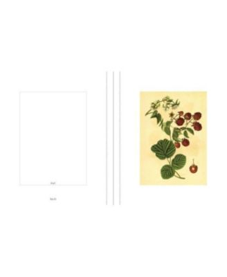 Instant Wall Art Vibrant Botanical Prints- 45 Ready-to-Frame Illustrations for Your Home D&eacute;cor by Adams Media Corporation