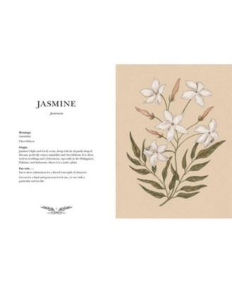 Floriography- An Illustrated Guide to the Victorian Language of Flowers by Jessica Roux