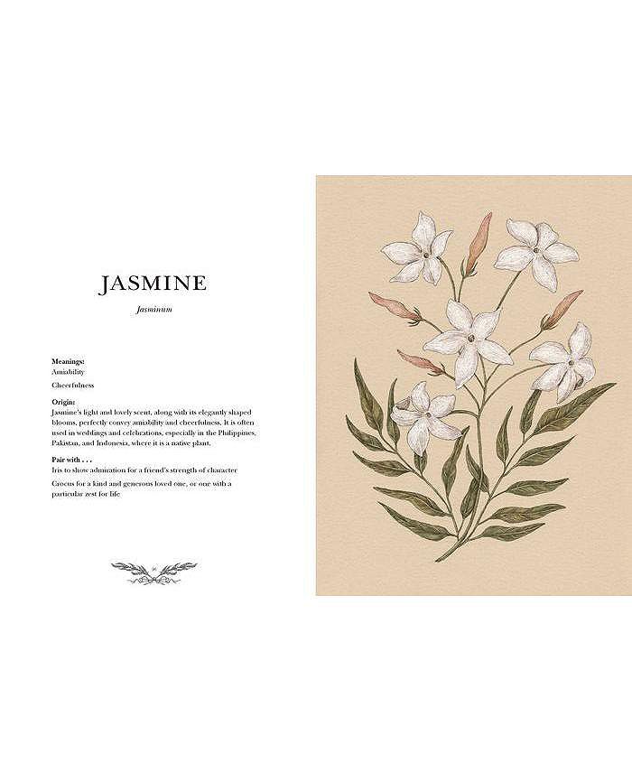 Barnes & Noble Floriography An Illustrated Guide to the Victorian